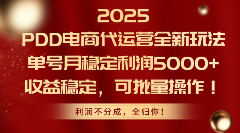 (14839期)2025PDD电商代运营全新玩法,单号月稳定利润5000+,收益稳定,可批量操作_生财有道创业项目网-生财有道