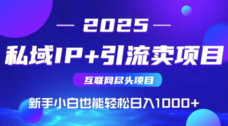 （15532期）2025网创尽头项目，私域IP+引流，新手小白也能在家日入1000+_生财有道创业项目网-生财有道