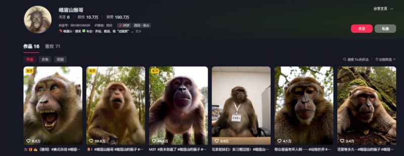 最新爆火的峨眉山猴子短视频制作教程,条条点赞10w+,谁做谁火【教程+提示词】——生财有道创业项目网-生财有道