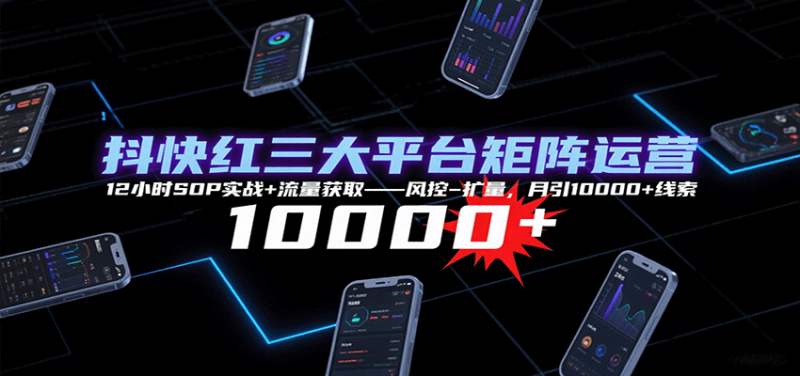 抖快红三大平台矩阵运营,12小时SOP实战+流量获取-风控-扩量,月引10000+线索_生财有道创业网-生财有道