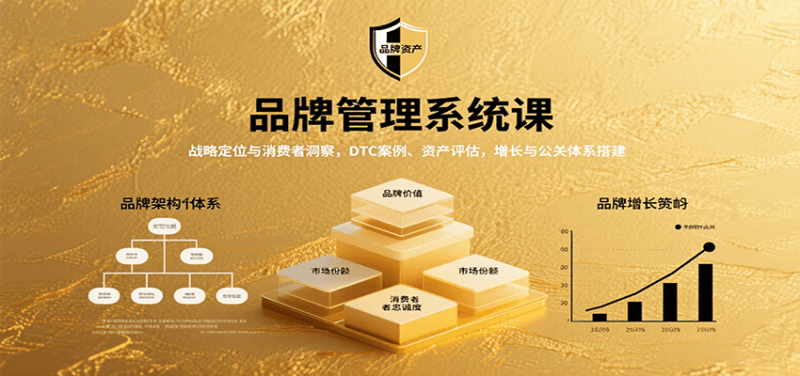 品牌管理系统课:战略定位与消费者洞察,DTC案例、资产评估,增长与公关体系搭建_生财有道创业网-生财有道
