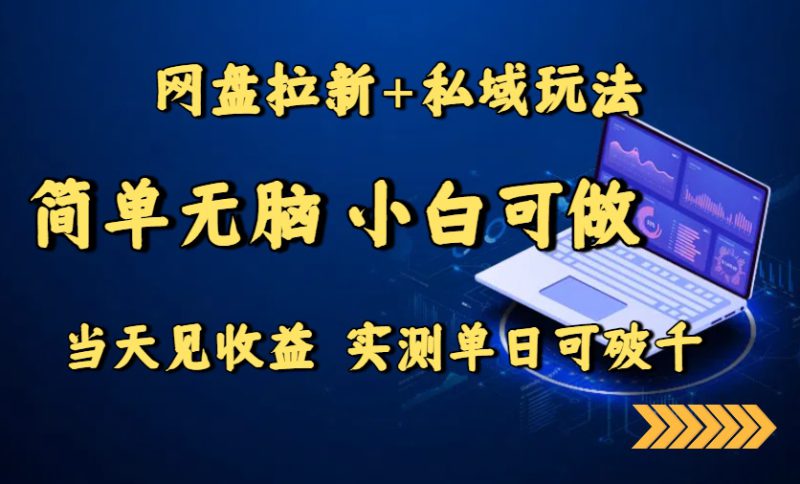（15744期）网盘拉新+私域玩法，简单无脑，小白可做，当天见收益，实测单日可破千_生财有道创业项目网-生财有道