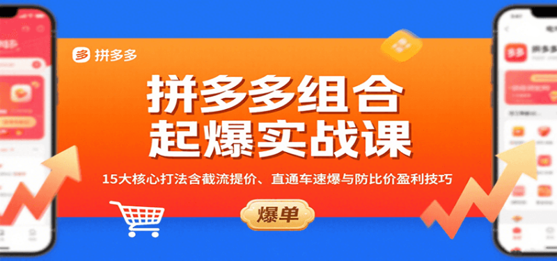 拼多多组合起爆实战课：15大核心打法含截流提价、直通车速爆与防比价盈利技巧_生财有道创业网-生财有道