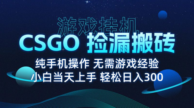 (15820期)8月最新游戏搬砖,CSGO纯挂机,不需要玩游戏,实现真挂机,月入1W+_生财有道创业项目网-生财有道