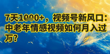 7天收益1k+,视频号新风口:中老年情感视频如何月入过W?——生财有道创业项目网-生财有道