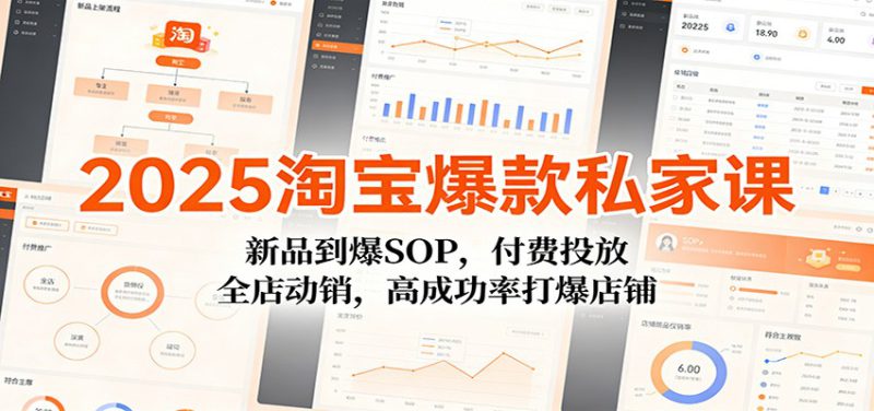 2025淘宝爆款私家课：新品到爆SOP，付费投放，全店动销，高成功率打爆店铺_生财有道创业网-生财有道