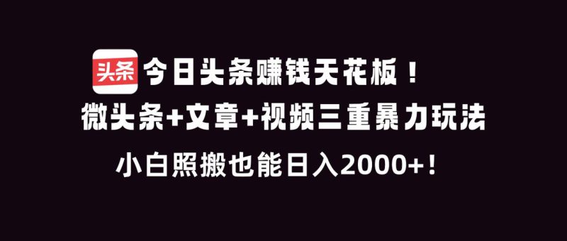 (16888期)今日头条赚钱天花板!微头条+文章+视频三重暴利玩法,小白照搬也能日人2000+_生财有道创业项目网-生财有道