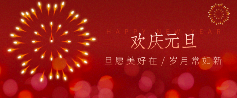 每年新年必火的红利项目，视频号祝福类视频玩法，多种变现月入万元！_生财有道创业网-生财有道