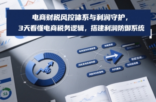 电商财税风控体系与利润守护，3天看懂电商税务逻辑，搭建利润防御系统——生财有道创业项目网-生财有道