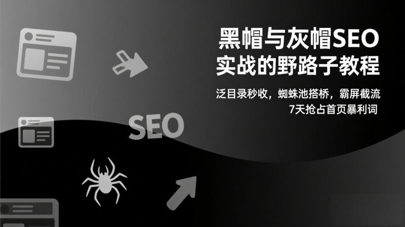 （17125期）黑帽与灰帽SEO实战的野路子教程：泛目录秒收，蜘蛛池搭桥，霸屏截流，7天抢占首页暴利词_生财有道创业项目网-生财有道