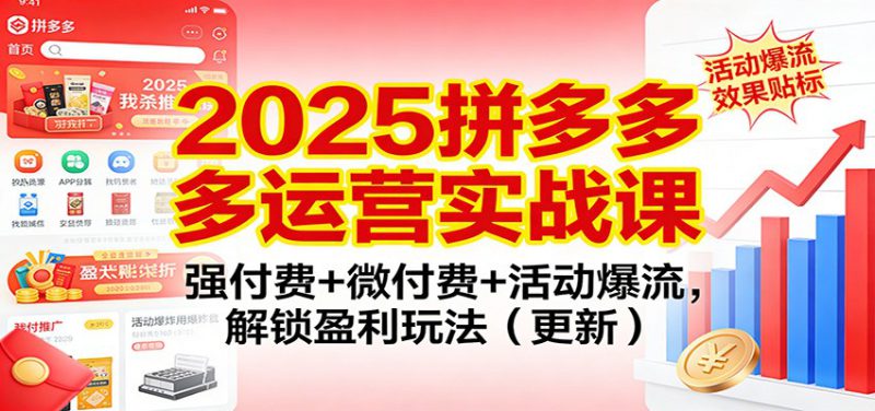 2025拼多多运营实战课:强付费+微付费+活动爆流,解锁盈利玩法(更新)_生财有道创业网-生财有道