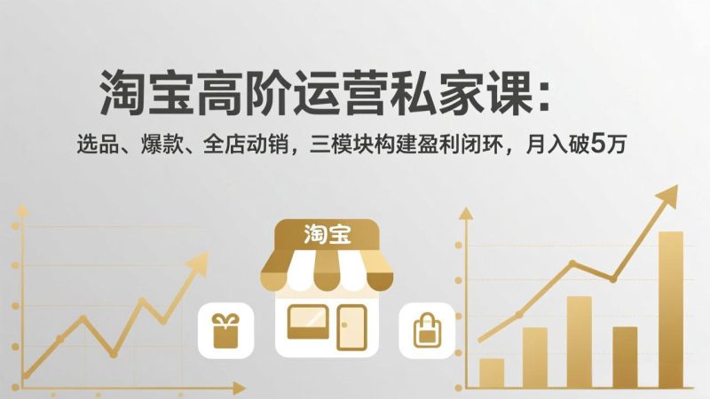 （17395期）淘宝高阶运营私家课：选品、爆款、全店动销，三模块构建盈利闭环，月入破5万（更新26年2月）_生财有道创业项目网-生财有道