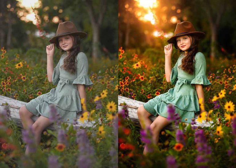 （17403期）大师级GTG出品-老友记系列AI自适应预设The Friends Preset Collection_生财有道创业项目网-生财有道