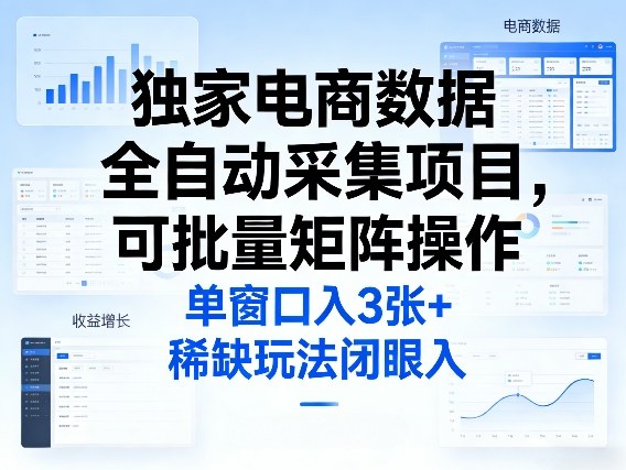 独家电商数据全自动采集项目，可批量矩阵操作，单窗口日入3张+，稀缺玩法闭眼入【揭秘】——生财有道创业项目网-生财有道