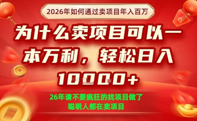 一单净利润1K+，26年想年入100个W，死磕卖项目就够了【揭秘】——生财有道创业项目网-生财有道