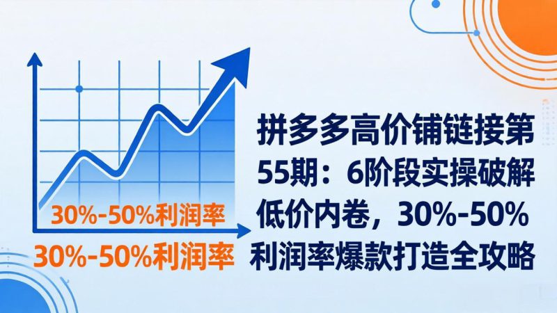 （17698期）拼多多高价铺链接第55期：6阶段实操破解低价内卷，30%-50%利润率爆款打造全攻略_生财有道创业项目网-生财有道