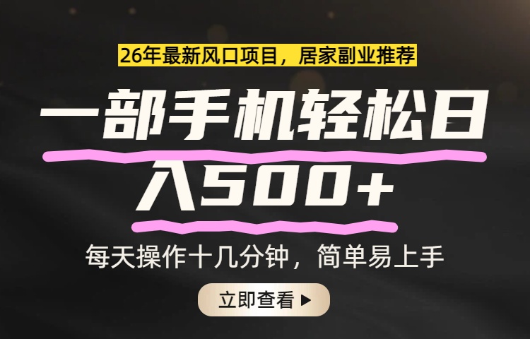 （17680期）26年居家副业首选，一部手机轻松日入500+，长期稳定可做_生财有道创业项目网-生财有道