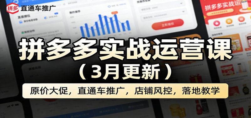 拼多多实战运营课(3月更新):原价大促,直通车推广,店铺风控,落地教学_生财有道创业网-生财有道