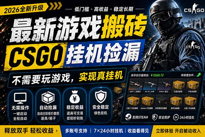 （18182期）最新游戏搬砖，CSGO纯挂机，不需要玩游戏，实现真挂机，月入1W+，五一小高峰上车可吃肉，..._生财有道创业项目网-生财有道