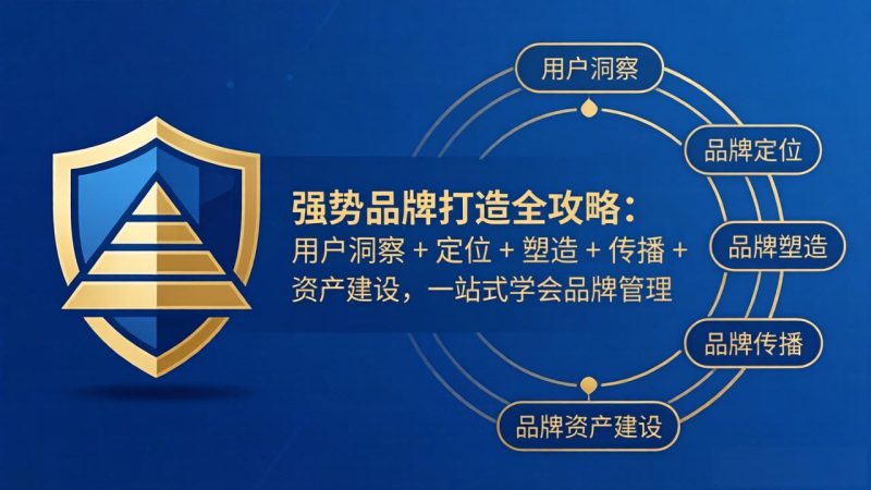 (17889期)强势品牌打造全攻略:用户洞察 + 定位 + 塑造 + 传播 + 资产建设,一站式学会品牌管理_生财有道创业项目网-生财有道