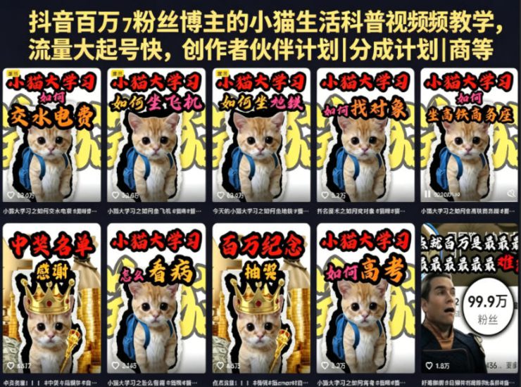 抖音百万粉丝博主的小猫生活科普视频教学,流量大起号快,创作者伙伴计划|分成计划|商单|收徒等——生财有道创业项目网-生财有道
