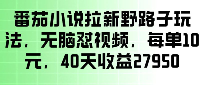 番茄小说拉新野路子玩法，无脑怼视频，玩法简单、见效快，每单10米，40天收益27950——生财有道创业项目网-生财有道