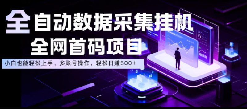 全自动数据采集挂G，全网首码项目，简单易操作，小白也能轻松上手，多账号操作，轻松日入500+【揭秘】——生财有道创业项目网-生财有道