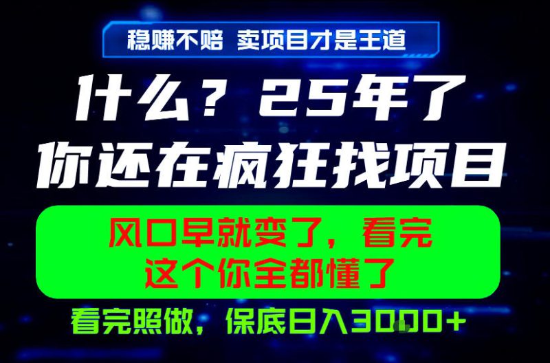 26年，请不要疯狂的找项目做了！卖项目才是真的稳賺不赔，看完照做，保底日入1k+【揭秘】——生财有道创业项目网-生财有道
