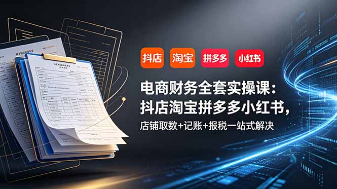 （19001期）电商财务全套实操课：抖店淘宝拼多多小红书，店铺取数+记账+报税一站式解决_生财有道创业项目网-生财有道