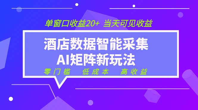 （19041期）2026酒店数据采集ai智能矩阵新风口  低成本   高收益   当天见收益   单窗口20+_生财有道创业项目网-生财有道