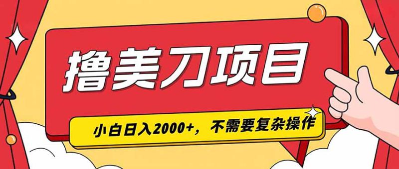 （19493期）撸美刀，单日收入2000+，小白可做_生财有道创业项目网-生财有道