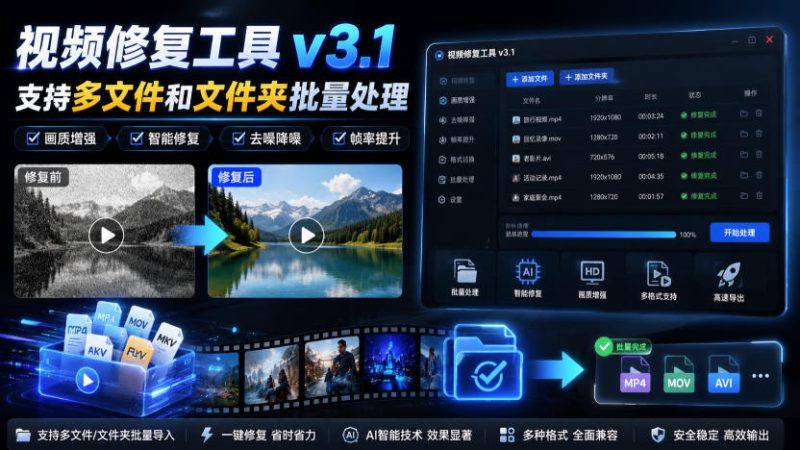 视频修复工具v3.1，支持多文件和文件夹批量处理——生财有道创业项目网-生财有道