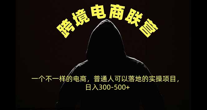 （20702期）跨境电商联营，一个不一样的电商，普通人可操作日入300-500+_生财有道创业项目网-生财有道