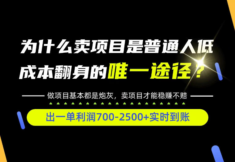 普通人如何靠互联网賺取自己的第一桶金！全类目实操型教学，看完你全都懂了！【揭秘】——生财有道创业项目网-生财有道