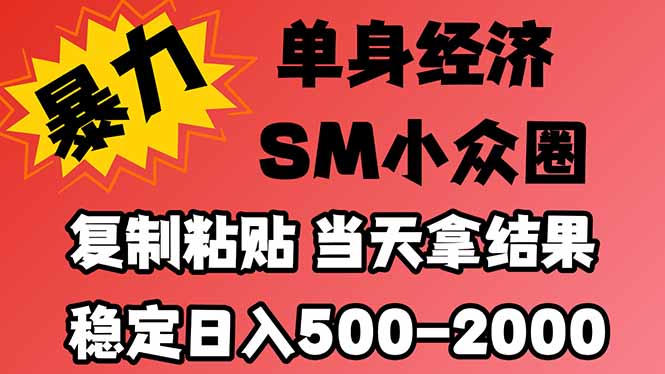 （21205期）26年 最新小众情感赛道，手机操作，十分钟见收益，小白也能当天上手，全程复制粘贴模板即可，稳定日入1k+_生财有道创业项目网-生财有道